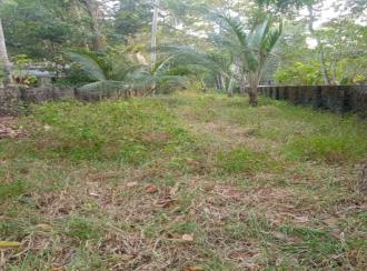 Residential Land for Sale in Alleppey, Cherthala, Muhamma