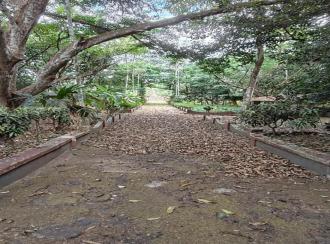 Commercial Land for Sale in Pathanamthitta, Thiruvalla, Kumbanad