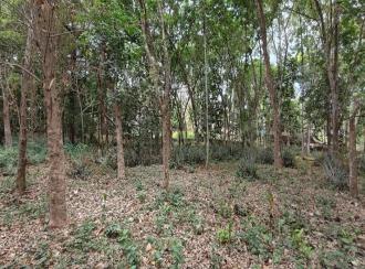 Commercial Land for Sale in Pathanamthitta, Thiruvalla, Kumbanad