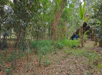 Commercial Land for Sale in Pathanamthitta, Thiruvalla, Kumbanad