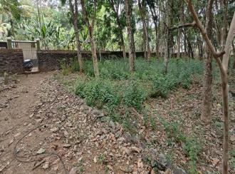 Commercial Land for Sale in Pathanamthitta, Thiruvalla, Kumbanad