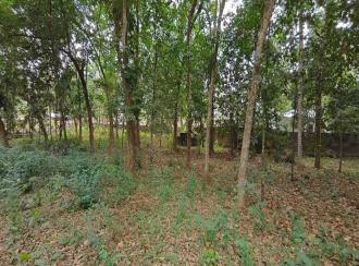 Commercial Land for Sale in Pathanamthitta, Thiruvalla, Kumbanad