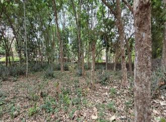 Commercial Land for Sale in Pathanamthitta, Thiruvalla, Kumbanad
