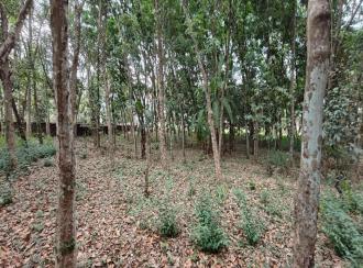 Commercial Land for Sale in Pathanamthitta, Thiruvalla, Kumbanad