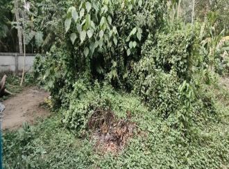 Residential Land for Sale in Ernakulam, Paravur, Chendamangalam