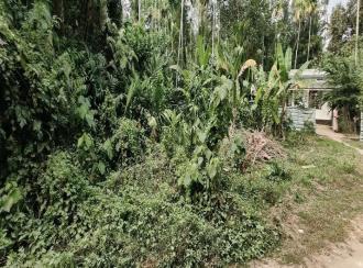 Residential Land for Sale in Ernakulam, Paravur, Chendamangalam