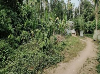 Residential Land for Sale in Ernakulam, Paravur, Chendamangalam