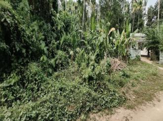 Residential Land for Sale in Ernakulam, Paravur, Chendamangalam