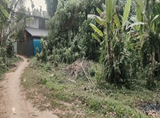 Residential Land for Sale in Ernakulam, Paravur, Chendamangalam