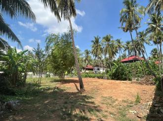 Residential Land for Sale in Thrissur, Ayyanthole, Ayyanthole