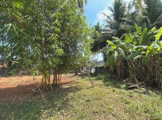 Residential Land for Sale in Thrissur, Ayyanthole, Ayyanthole