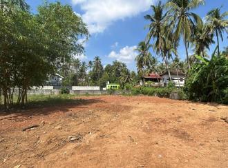 Residential Land for Sale in Thrissur, Ayyanthole, Ayyanthole