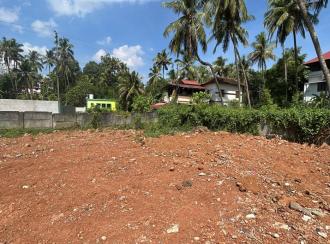 Residential Land for Sale in Thrissur, Ayyanthole, Ayyanthole
