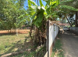 Residential Land for Sale in Thrissur, Ayyanthole, Ayyanthole