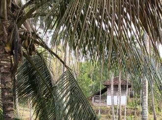 Residential Land for Sale in Malappuram, Nilambur, Chandakunnu