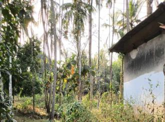 Residential Land for Sale in Malappuram, Nilambur, Chandakunnu