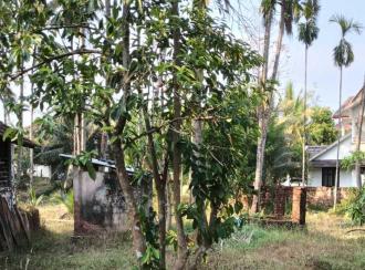 Residential Land for Sale in Malappuram, Nilambur, Chandakunnu