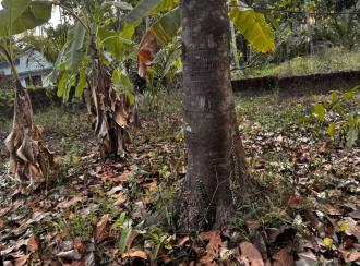 Residential Land for Sale in Malappuram, Tirur, Tirur