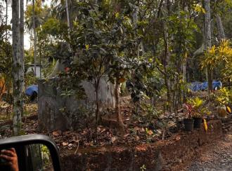Residential Land for Sale in Malappuram, Tirur, Tirur