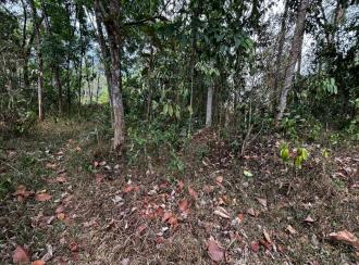 Residential Land for Sale in Pathanamthitta, Thiruvalla, Mundiyapally, mundiyapalli