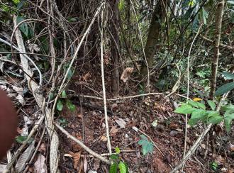 Residential Land for Sale in Pathanamthitta, Thiruvalla, Mundiyapally, mundiyapalli