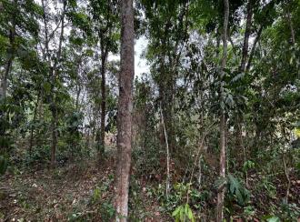 Residential Land for Sale in Pathanamthitta, Thiruvalla, Mundiyapally, mundiyapalli