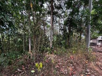 Residential Land for Sale in Pathanamthitta, Thiruvalla, Mundiyapally, mundiyapalli