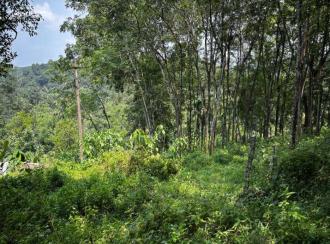 Residential Land for Sale in Pathanamthitta, Pathanamthitta, Kadamanitta, CHANDUKAV