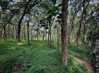 Residential Land for Sale in Pathanamthitta, Pathanamthitta, Kadamanitta, CHANDUKAV
