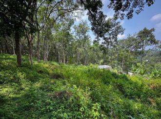 Residential Land for Sale in Pathanamthitta, Pathanamthitta, Kadamanitta, CHANDUKAV