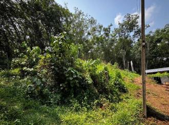 Residential Land for Sale in Pathanamthitta, Pathanamthitta, Kadamanitta, CHANDUKAV