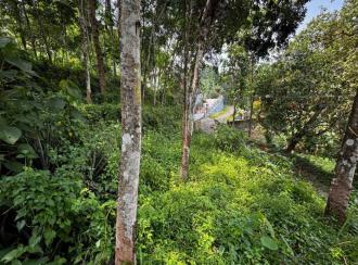 Residential Land for Sale in Pathanamthitta, Pathanamthitta, Kadamanitta, CHANDUKAV