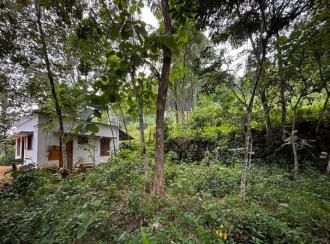 Residential Land for Sale in Pathanamthitta, Pathanamthitta, Kadamanitta, CHANDUKAV