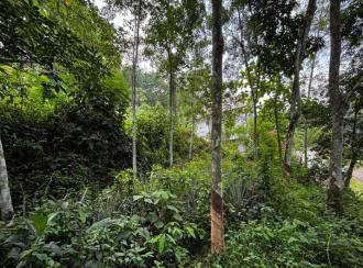 Residential Land for Sale in Pathanamthitta, Pathanamthitta, Kadamanitta, CHANDUKAV