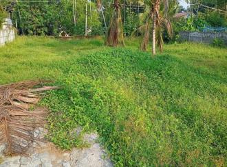 Residential Land for Sale in Ernakulam, Aluva, Aluva, St joseph Church, Neerikode