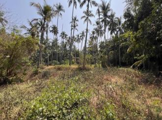 Residential Land for Sale in Kozhikode, Elathur, Vengalom