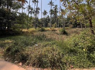 Residential Land for Sale in Kozhikode, Elathur, Vengalom