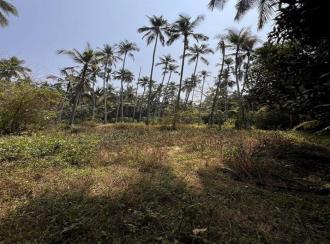 Residential Land for Sale in Kozhikode, Elathur, Vengalom