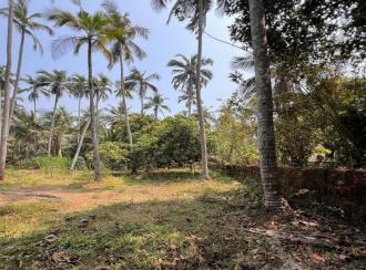 Residential Land for Sale in Kozhikode, Elathur, Vengalom