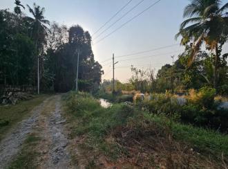Residential Land for Sale in Palakkad, Palakkad, Kuzhalmannam