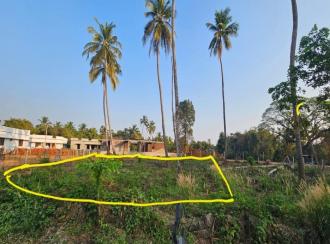 Residential Land for Sale in Palakkad, Palakkad, Kuzhalmannam