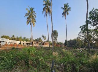 Residential Land for Sale in Palakkad, Palakkad, Kuzhalmannam
