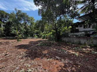 വാസയോഗ്യമായ ഭൂമി വില്പനയ്ക്ക് Pathanamthitta, Kozhencherry, Arattupuzha