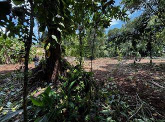 വാസയോഗ്യമായ ഭൂമി വില്പനയ്ക്ക് Pathanamthitta, Kozhencherry, Arattupuzha