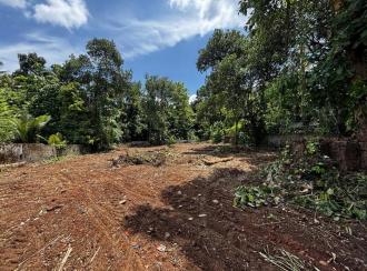 വാസയോഗ്യമായ ഭൂമി വില്പനയ്ക്ക് Pathanamthitta, Kozhencherry, Arattupuzha