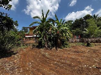 വാസയോഗ്യമായ ഭൂമി വില്പനയ്ക്ക് Pathanamthitta, Kozhencherry, Arattupuzha