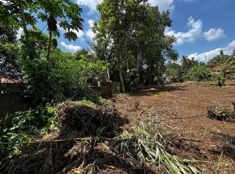 വാസയോഗ്യമായ ഭൂമി വില്പനയ്ക്ക് Pathanamthitta, Kozhencherry, Arattupuzha