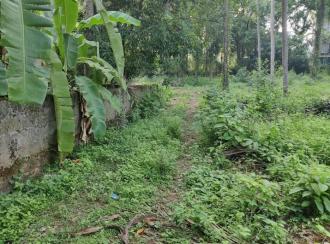 വാസയോഗ്യമായ ഭൂമി വില്പനയ്ക്ക് Thrissur, Cheruthuruthy, Cheruthuruthy