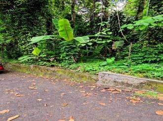 Residential Land for Sale in Kottayam, Pampady, 12th mile