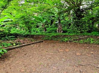 Residential Land for Sale in Kottayam, Pampady, 12th mile